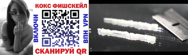 купить закладку  Кыштым  Cocaine Эквадор 